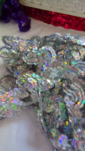 Assorted sequin trim lot - assorted,